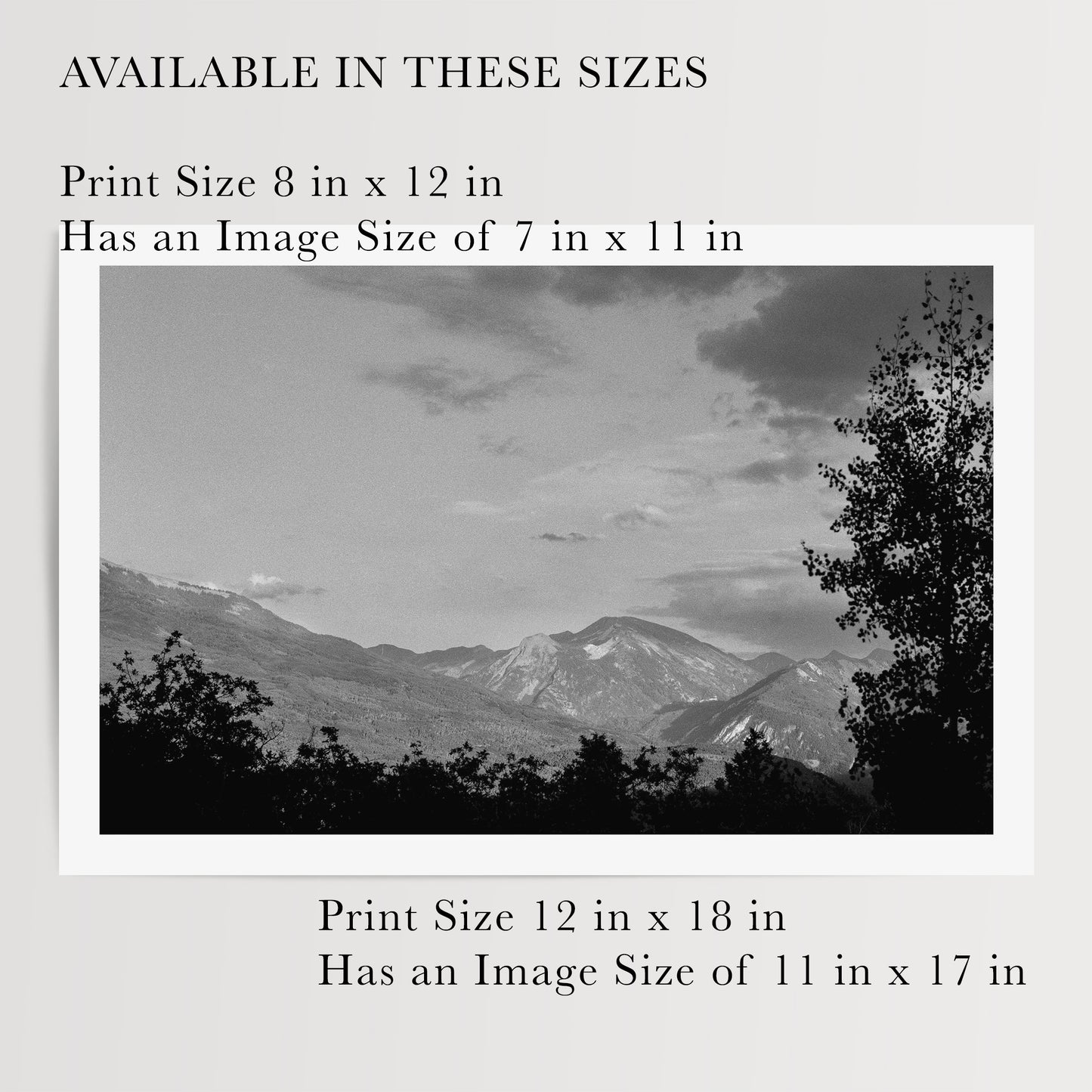 Aspen Silhouette | Open Edition Fine Art Print
