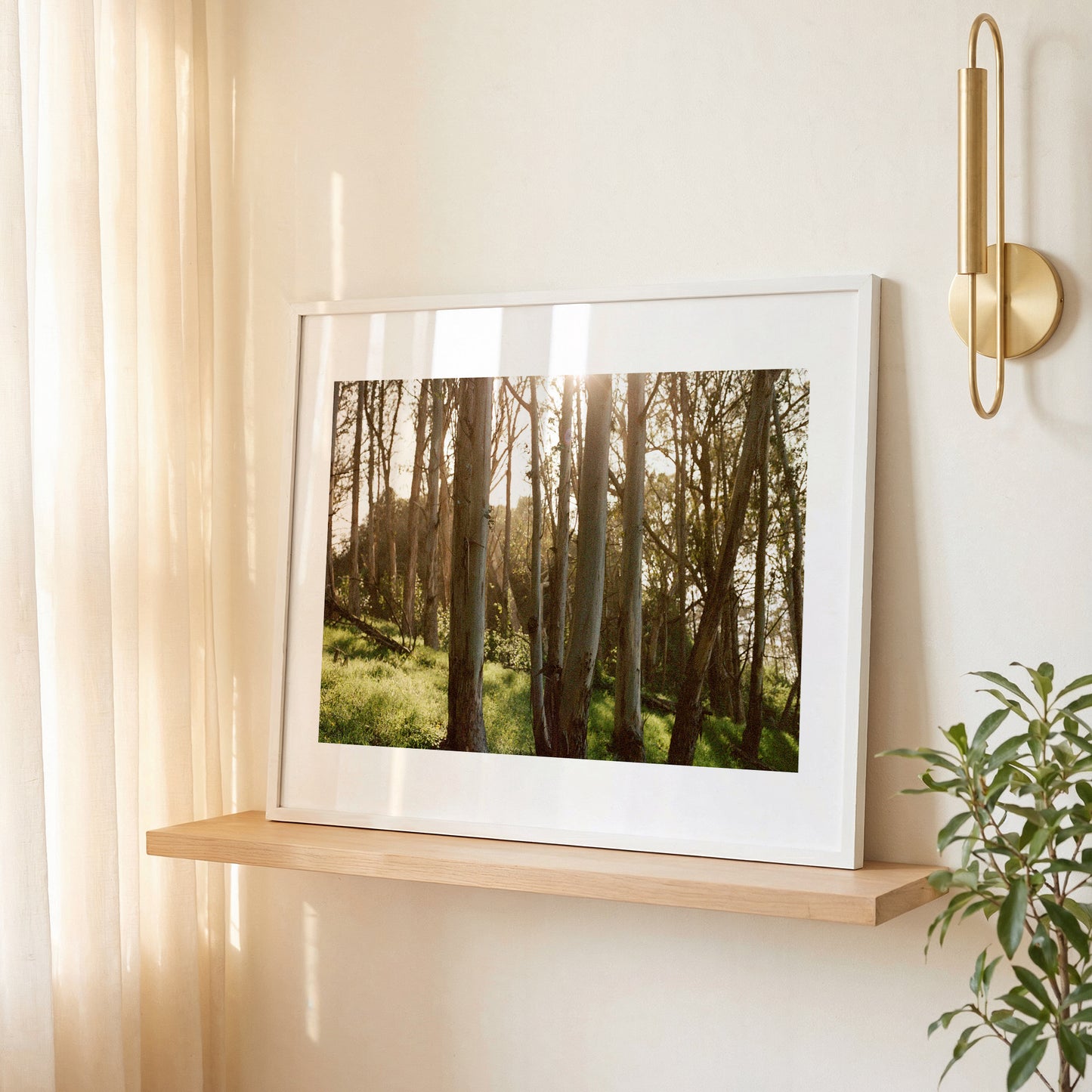 Eucalyptus Grove | Open Edition Fine Art Print