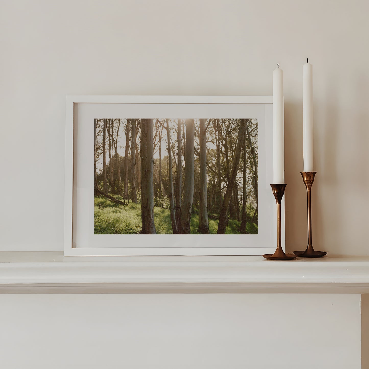 Eucalyptus Grove | Open Edition Fine Art Print
