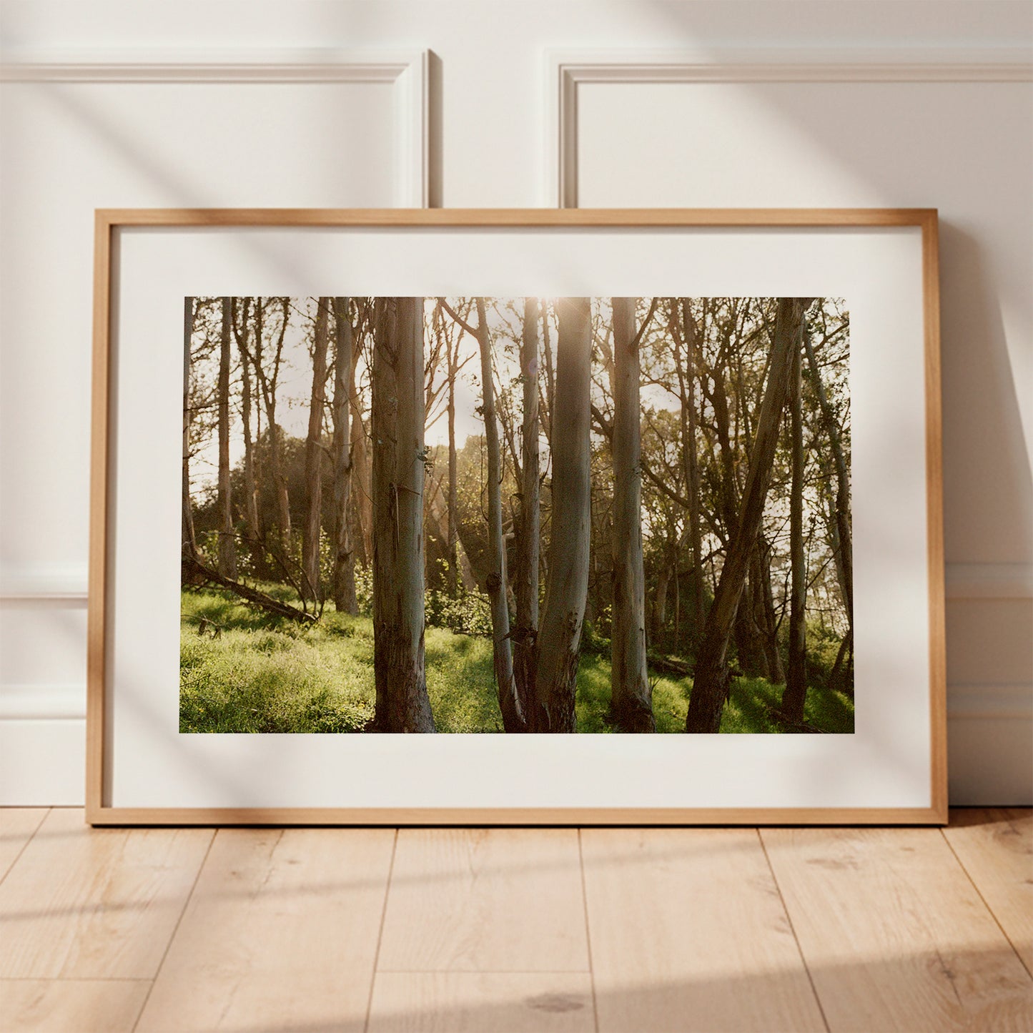 Eucalyptus Grove | Open Edition Fine Art Print