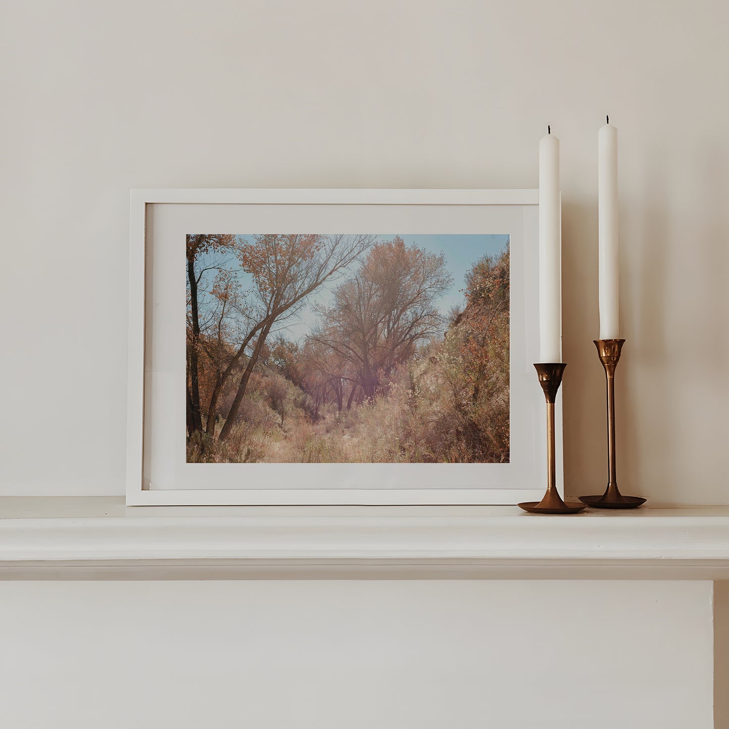 High Desert Trees | Open Edition Fine Art Print