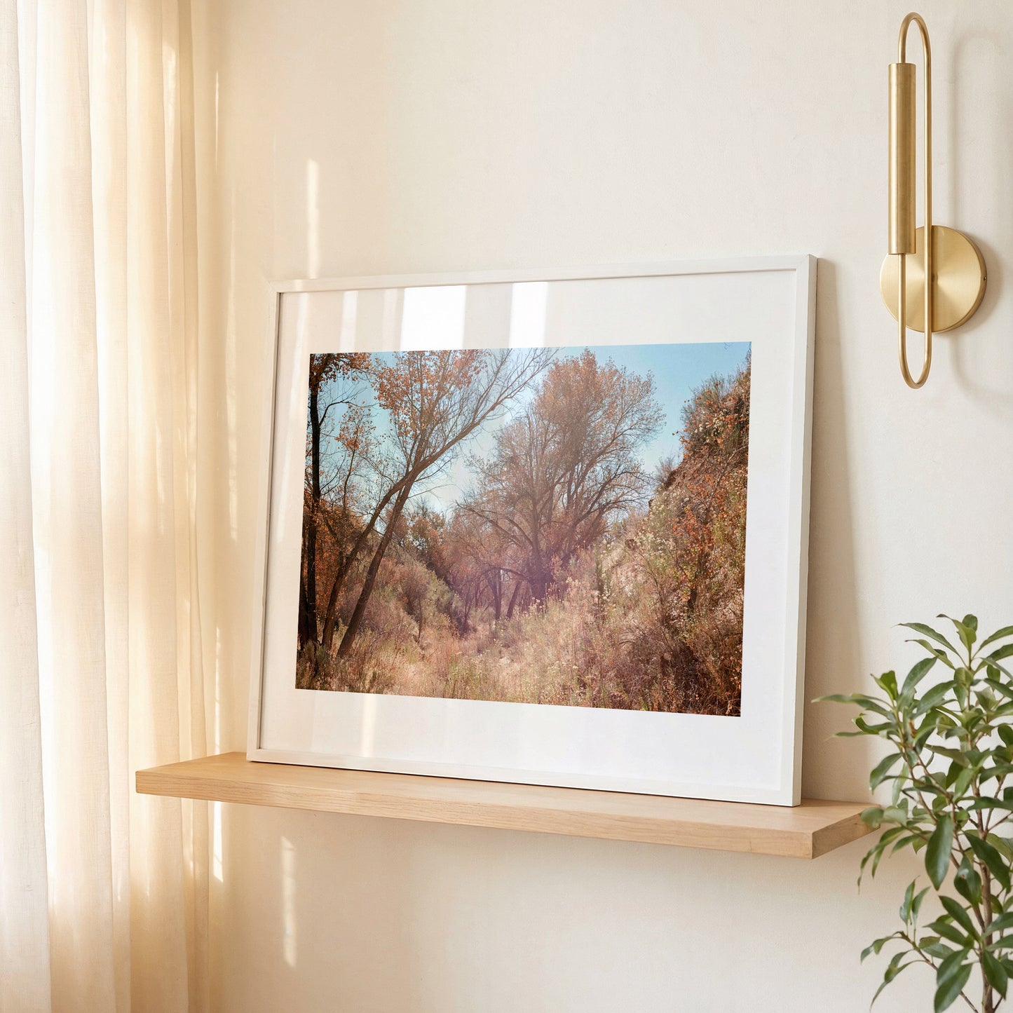 High Desert Trees | Open Edition Fine Art Print