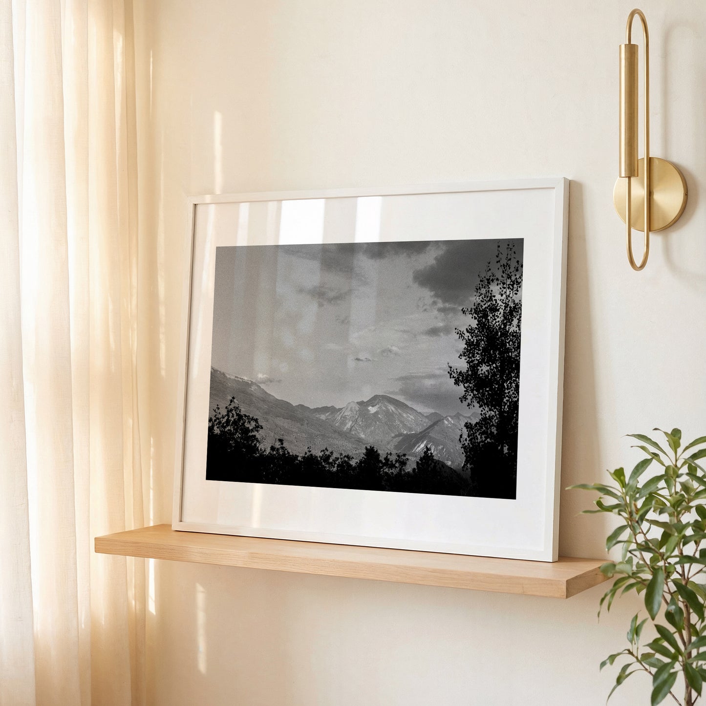 Aspen Silhouette | Open Edition Fine Art Print