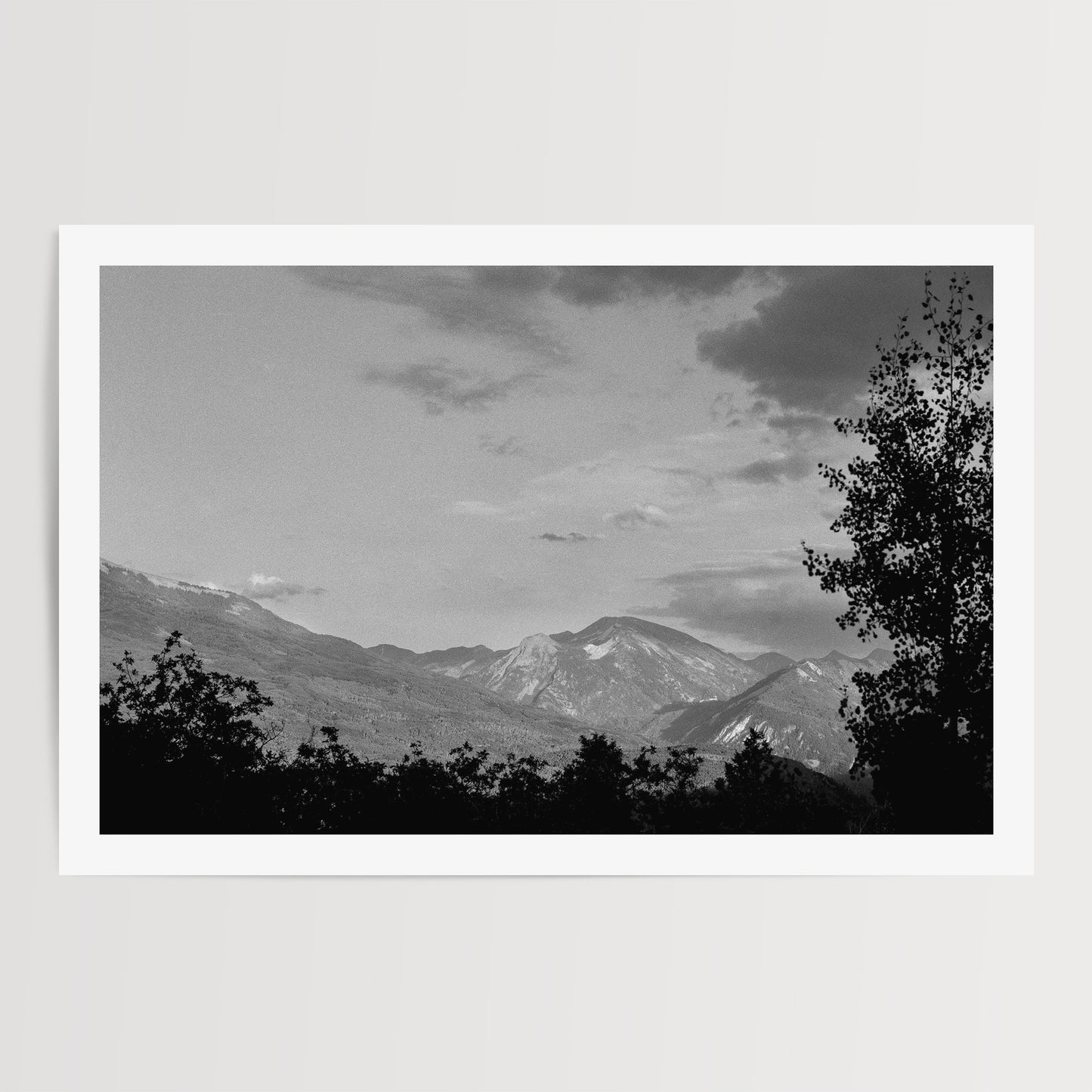 Aspen Silhouette | Open Edition Fine Art Print