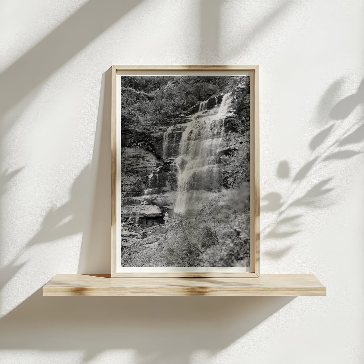 Bear Creek Falls | Open Edition Fine Art Print