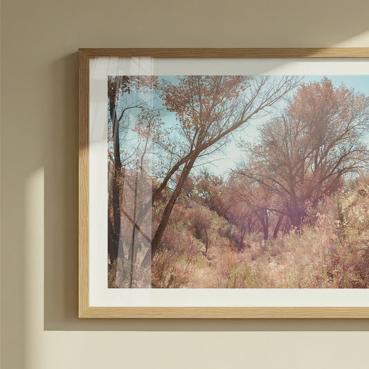 High Desert Trees | Open Edition Fine Art Print